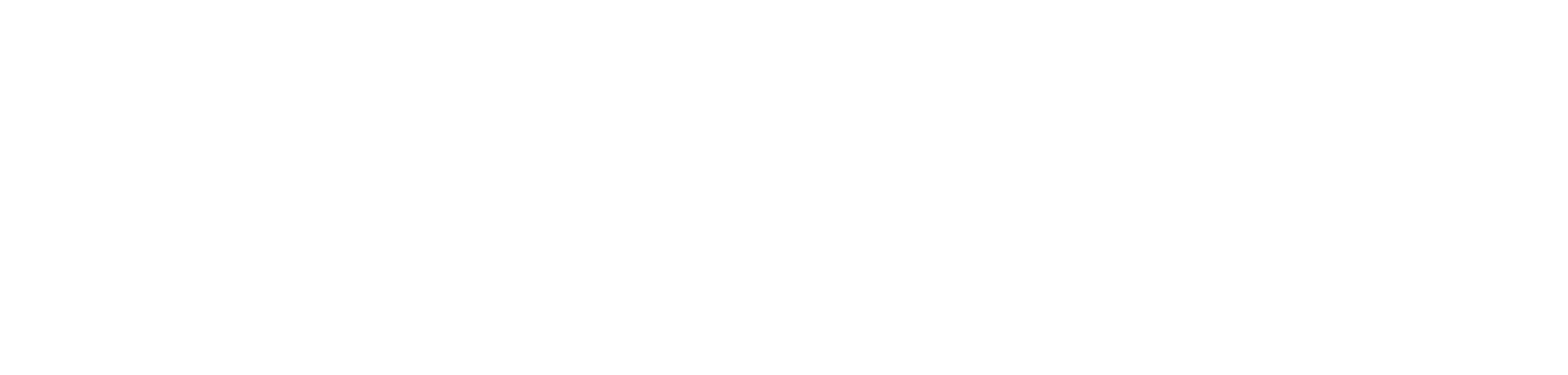 Avatar Experto